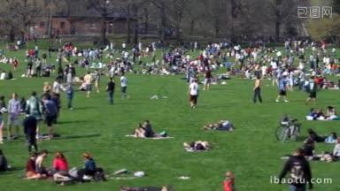 在中央公园的一片<strong>大草地</strong>上，数百人在享受美好的一天，画面中有些模糊